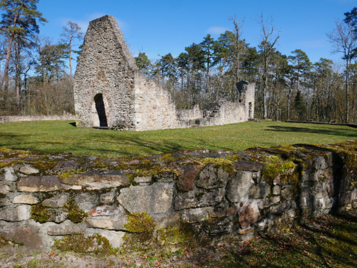 Kirchenruine St. Michael am Michelsberg