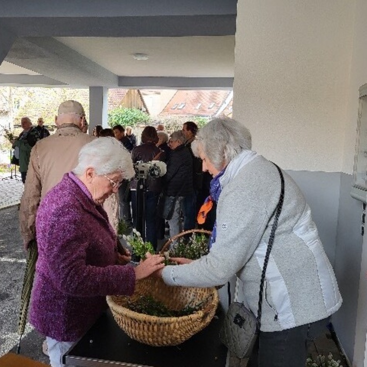 Symbolbild: Palmsonntag