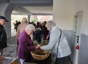 Symbolbild: Palmsonntag